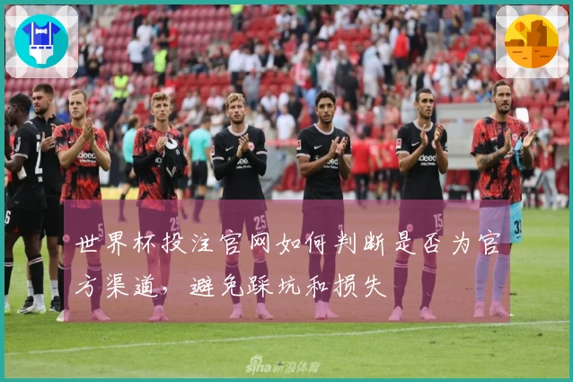 世界杯投注官网如何判断是否为官方渠道，避免踩坑和损失