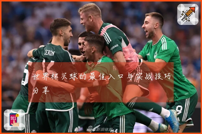 世界杯买球的最佳入口与实战技巧分享
