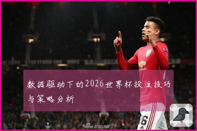 数据驱动下的2026世界杯投注技巧与策略分析