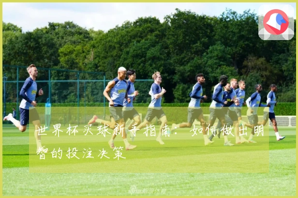 世界杯买球新手指南：如何做出明智的投注决策
