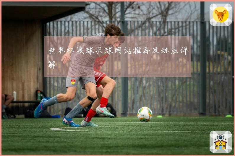 世界杯滚球买球网站推荐及玩法详解