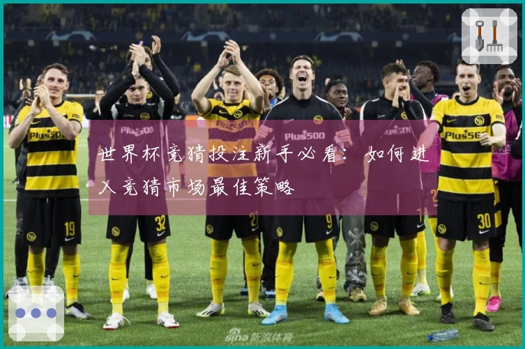 世界杯竞猜投注新手必看：如何进入竞猜市场最佳策略