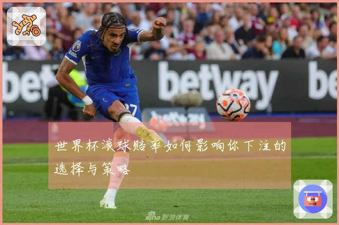 世界杯滚球赔率如何影响你下注的选择与策略