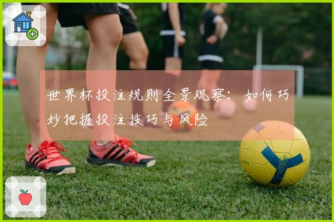 世界杯投注规则全景观察：如何巧妙把握投注技巧与风险