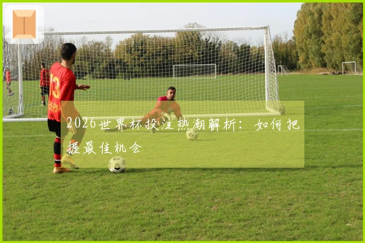 2026世界杯投注热潮解析：如何把握最佳机会
