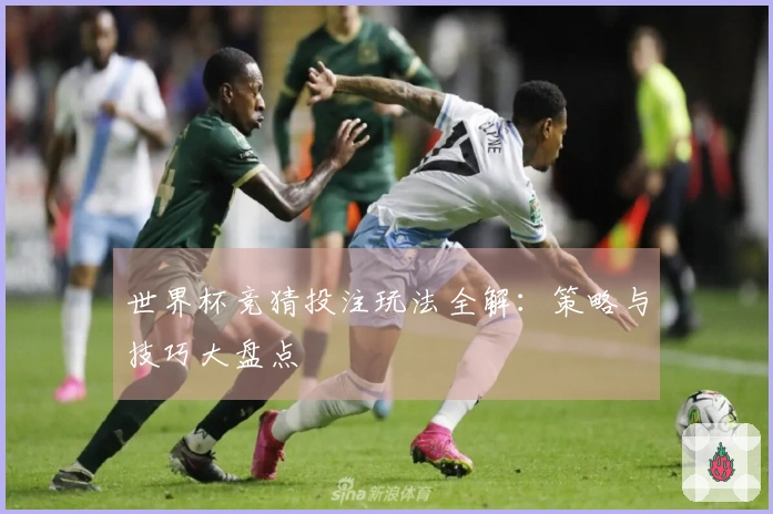 世界杯竞猜投注玩法全解：策略与技巧大盘点