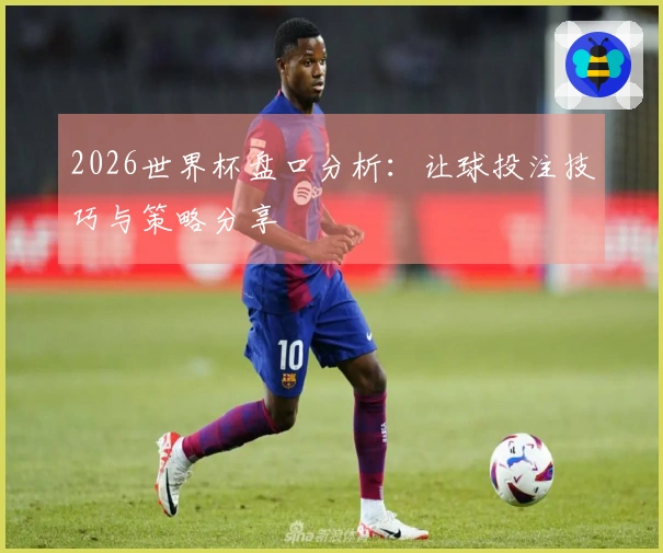 2026世界杯盘口分析：让球投注技巧与策略分享