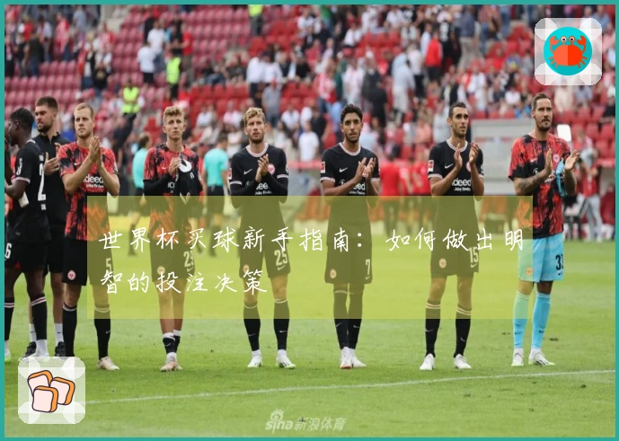 世界杯买球新手指南：如何做出明智的投注决策