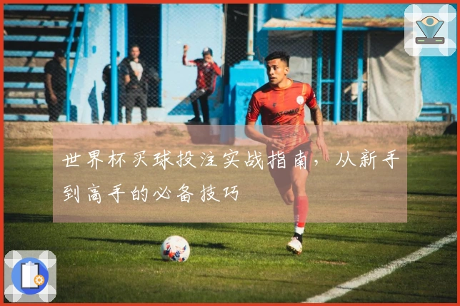 世界杯买球投注实战指南，从新手到高手的必备技巧