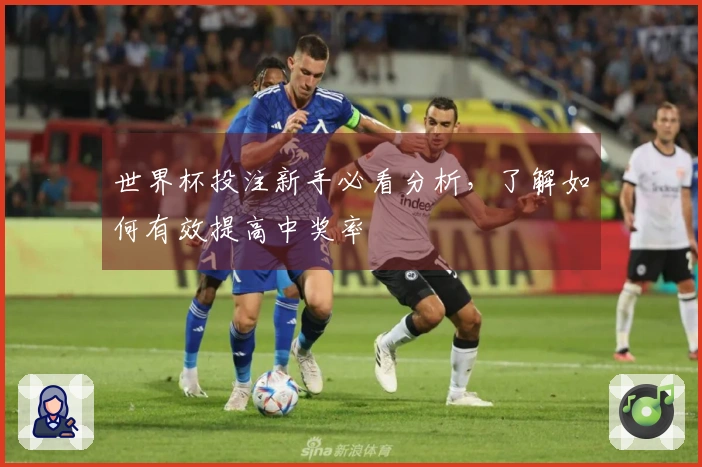 世界杯投注新手必看分析，了解如何有效提高中奖率