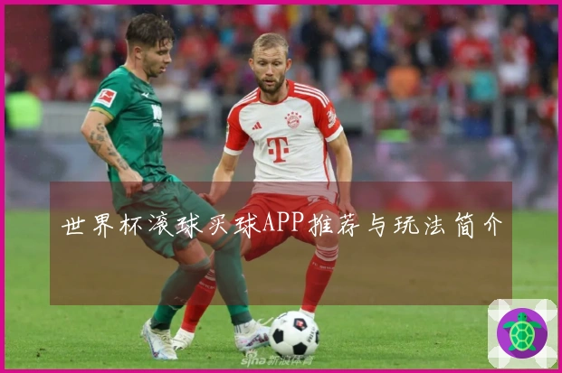 世界杯滚球买球APP推荐与玩法简介