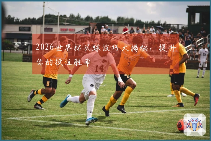2026世界杯买球技巧大揭秘，提升你的投注胜率