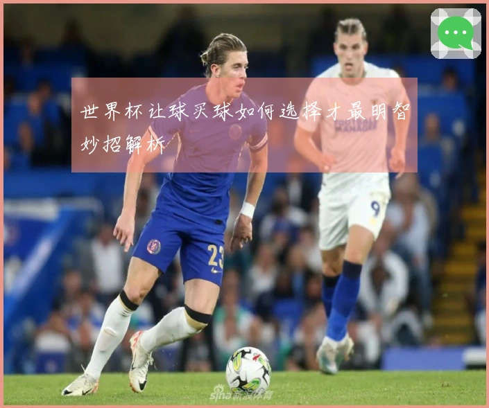 世界杯让球买球如何选择才最明智妙招解析