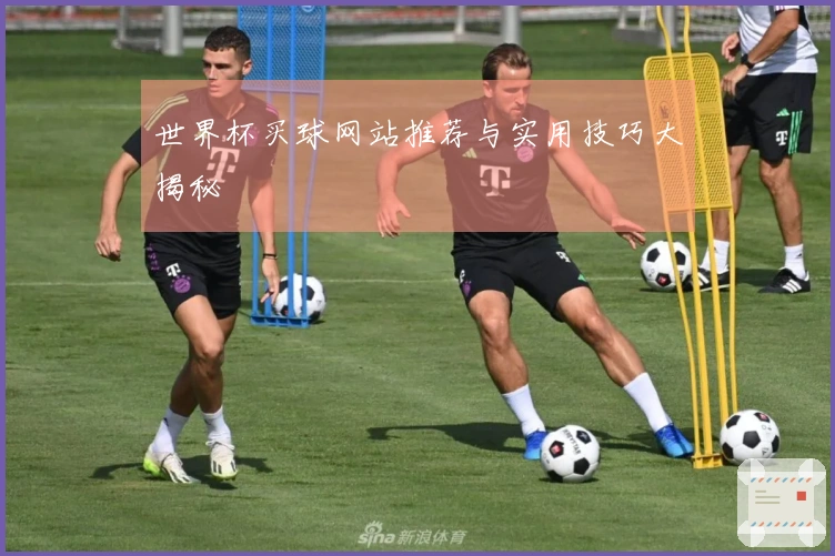 世界杯买球网站推荐与实用技巧大揭秘