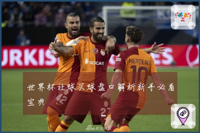 世界杯让球买球盘口解析新手必看宝典