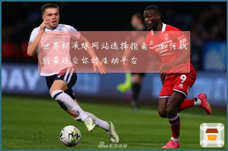 世界杯滚球网站选择指南：如何找到最适合你的活动平台