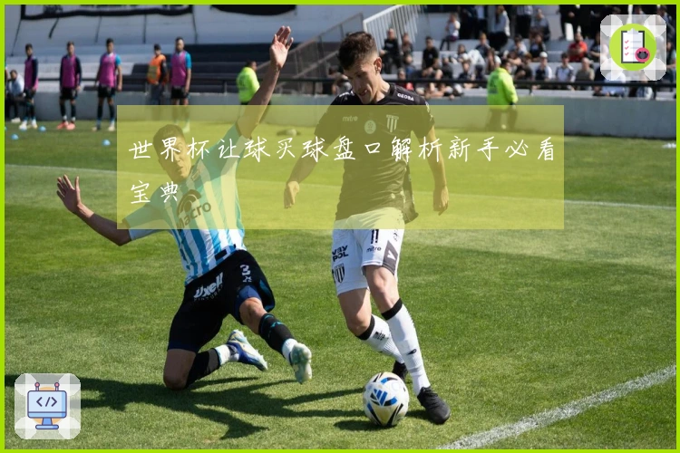 世界杯让球买球盘口解析新手必看宝典